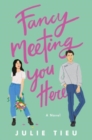 Image for Fancy meeting you here  : a novel