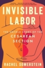 Image for Invisible Labor