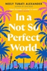 Image for In a Not So Perfect World : A Novel