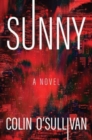 Image for Sunny  : a novel