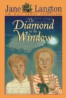 Image for The Diamond in the Window