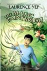 Image for The Magic Paintbrush