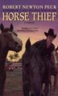 Image for Horse thief  : a novel