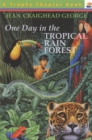 Image for One Day in the Tropical Rain Forest