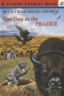 Image for One Day in the Prairie
