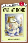 Image for Owl at Home
