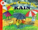 Image for Down Comes the Rain
