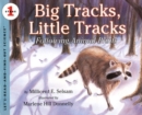 Image for Big tracks, little tracks