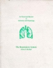 Image for An Illustrated Review of Anatomy : The Respiratory System