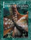 Image for Biology of the Invertebrates