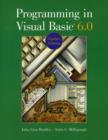 Image for Programming in Visual Basic 6.0