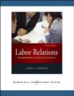 Image for Labor relations  : development, structure, process