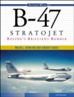 Image for B-47 Stratojet: Boeing&#39;s Brilliant Bomber