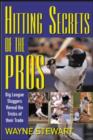 Image for Hitting secrets of the pros  : big league sluggers reveal the tricks of their trade