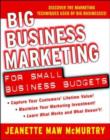 Image for Big business marketing for small business budgets