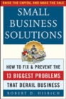 Image for Small business solutions: how to fix and prevent the thirteen biggest problems that derail business