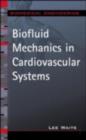 Image for Biofluid mechanics in cardiovascular systems