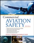 Image for Commercial Aviation Safety