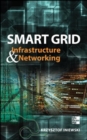 Image for Smart grid infrastructure &amp; networking