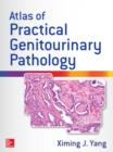 Image for Atlas of practical genitourinary pathology