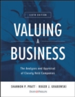 Image for Valuing Small Businesses