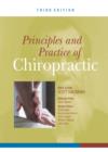 Image for Principles and practice of chiropractic