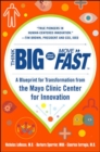 Image for Think Big, Start Small, Move Fast: A Blueprint for Transformation from the Mayo Clinic Center for Innovation