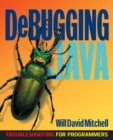 Image for Debugging Java