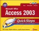 Image for Microsoft Office Access 2003 QuickSteps