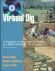 Image for Virtual Dig
