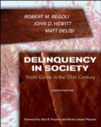 Image for Delinquency in Society
