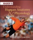 Image for Understanding human anatomy &amp; physiology