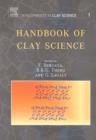 Image for Handbook of clay science