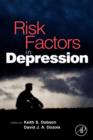 Image for Risk factors in depression