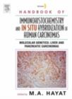 Image for Handbook of immunohistochemistry and in situ hybridization of human carcinomas