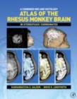 Image for A combined MRI and histology: Atlas of the rhesus monkey brain in stereotaxic coordinates