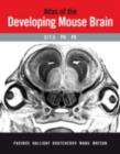 Image for Atlas of the developing mouse brain: at E17.5, PO, and P6