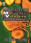 Image for Principles of Molecular Virology