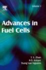 Image for Advances in fuel cells.