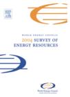Image for 2004 survey of energy resources