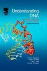 Image for Understanding DNA: the molecule &amp; how it works.
