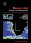 Image for Benguela: Predicting a Large Marine Ecosystem