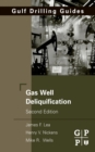 Image for Gas Well Deliquification