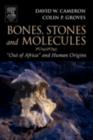 Image for Bones, stones and molecules: &quot;out of Africa&quot; and human origins