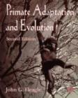 Image for Primate Adaptation and Evolution