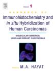 Image for Handbook of Immunohistochemistry and in Situ Hybridization of Human Carcinomas. Volume 1 Molecular Genetics ; Lung and Breast Carcinomas