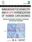 Image for Handbook of Immunohistochemistry and in Situ Hybridization of Human Carcinomas: Molecular Pathology, Colorectal Carcinoma, and Prostate Carcinoma