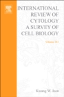 Image for International Review Of Cytology: A Survey of Cell Biology : 241