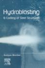 Image for Hydroblasting and coating of steel strucutures