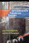 Image for Intermediate Financial Theory